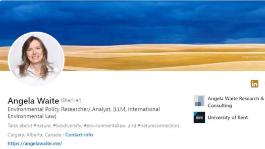 linkedin profile screenshot